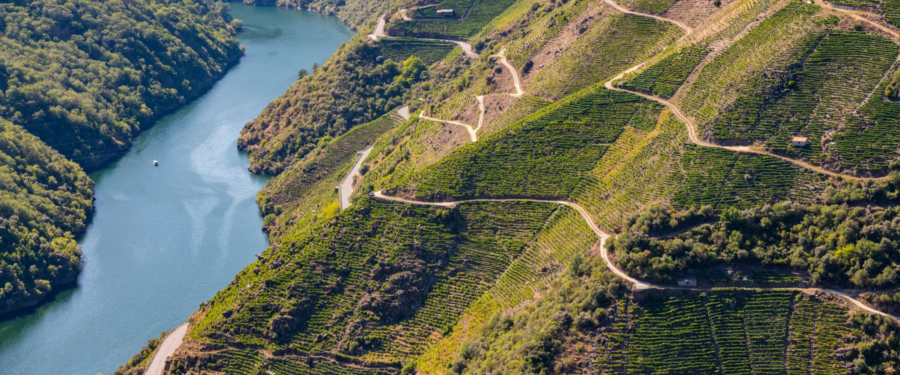 Ribera Sacra