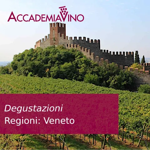 Degustazioni – Regioni: Veneto