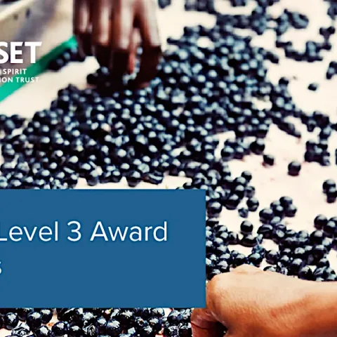 WSET Level 3 Award in Wines